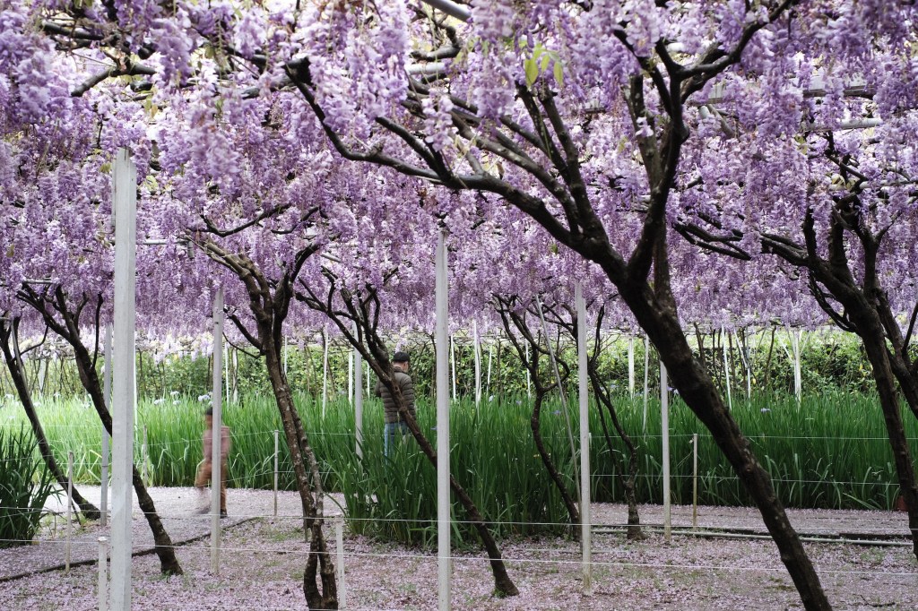 受保護的文章：當沮喪是家常便飯｜no.61