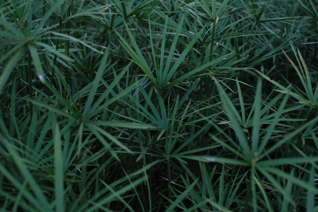 受保護的文章：放不下的先抱著｜no.65