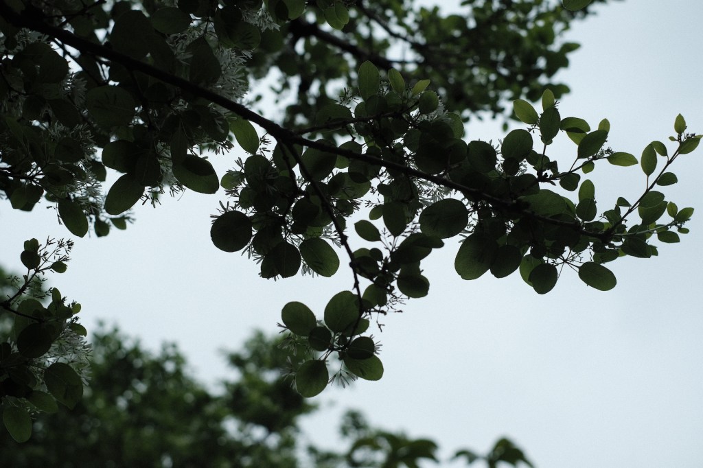 受保護的文章：時間總是最野蠻｜no.73