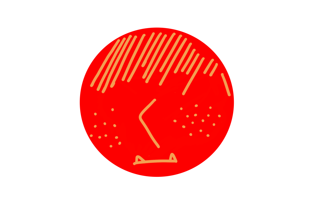 受保護的文章：no.96：醒